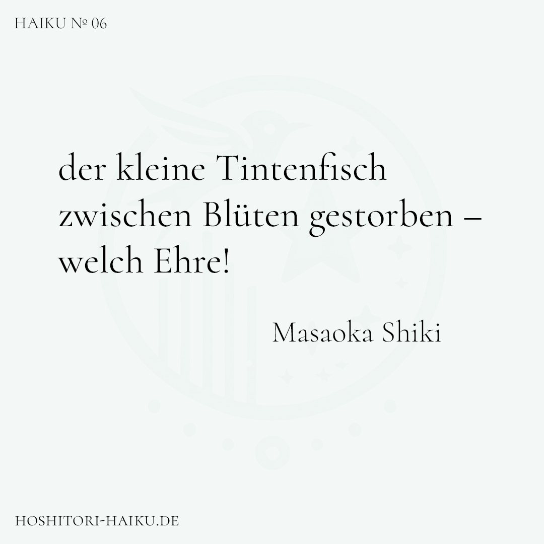 haiku kachel 06