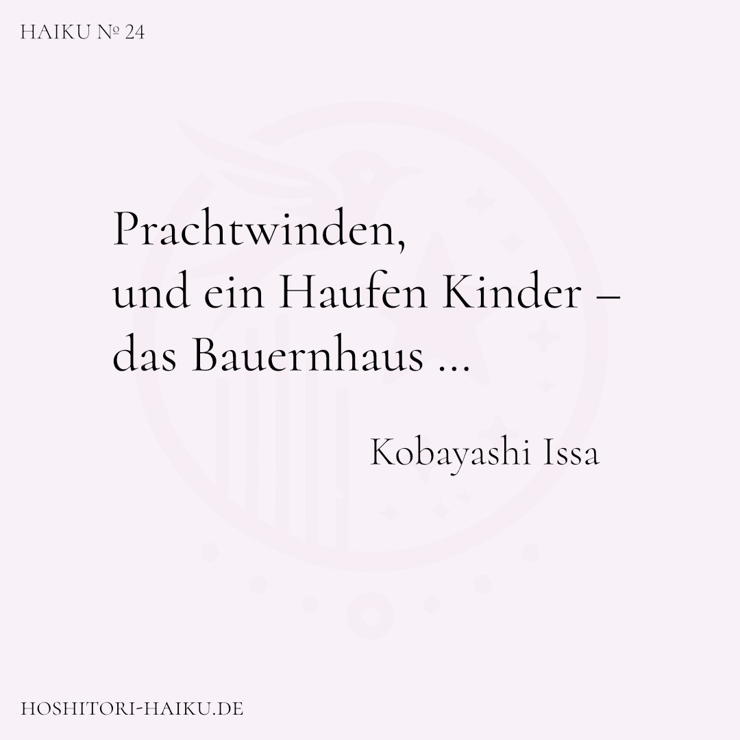 haiku kachel 24 2