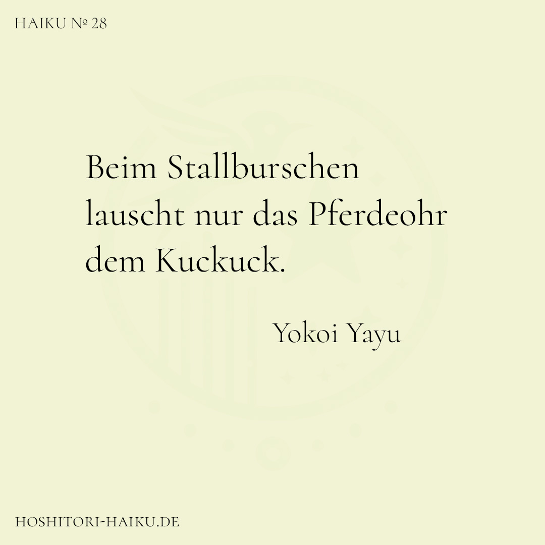 haiku kachel 28 1