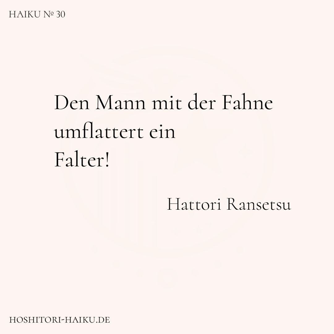 haiku kachel 30 1