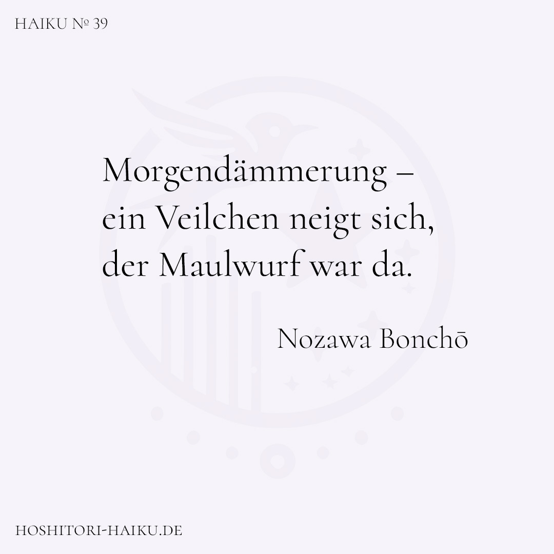 haiku kachel 39 1