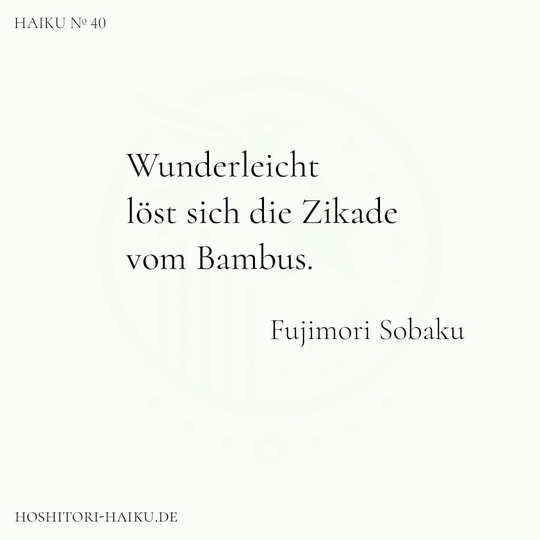 haiku kachel 40 1