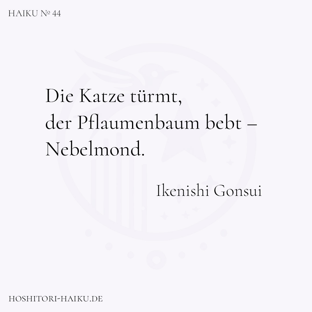 haiku kachel 44 1