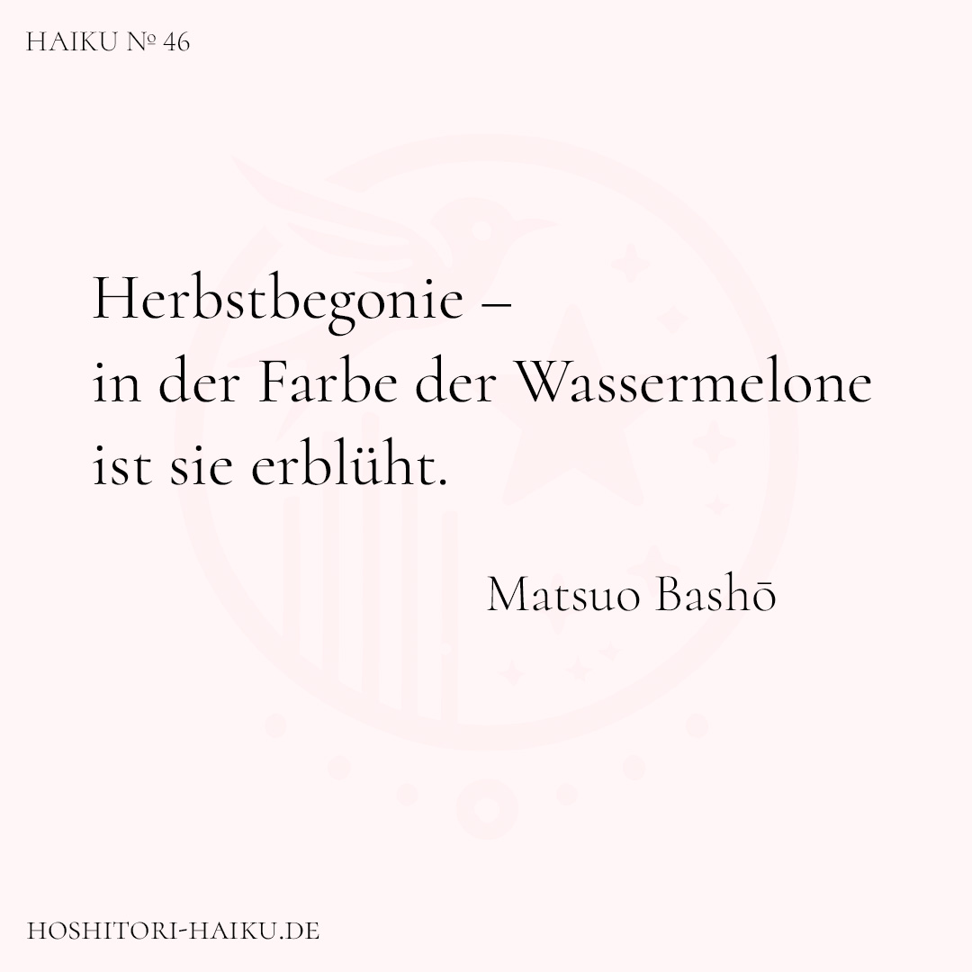 haiku kachel 46 1